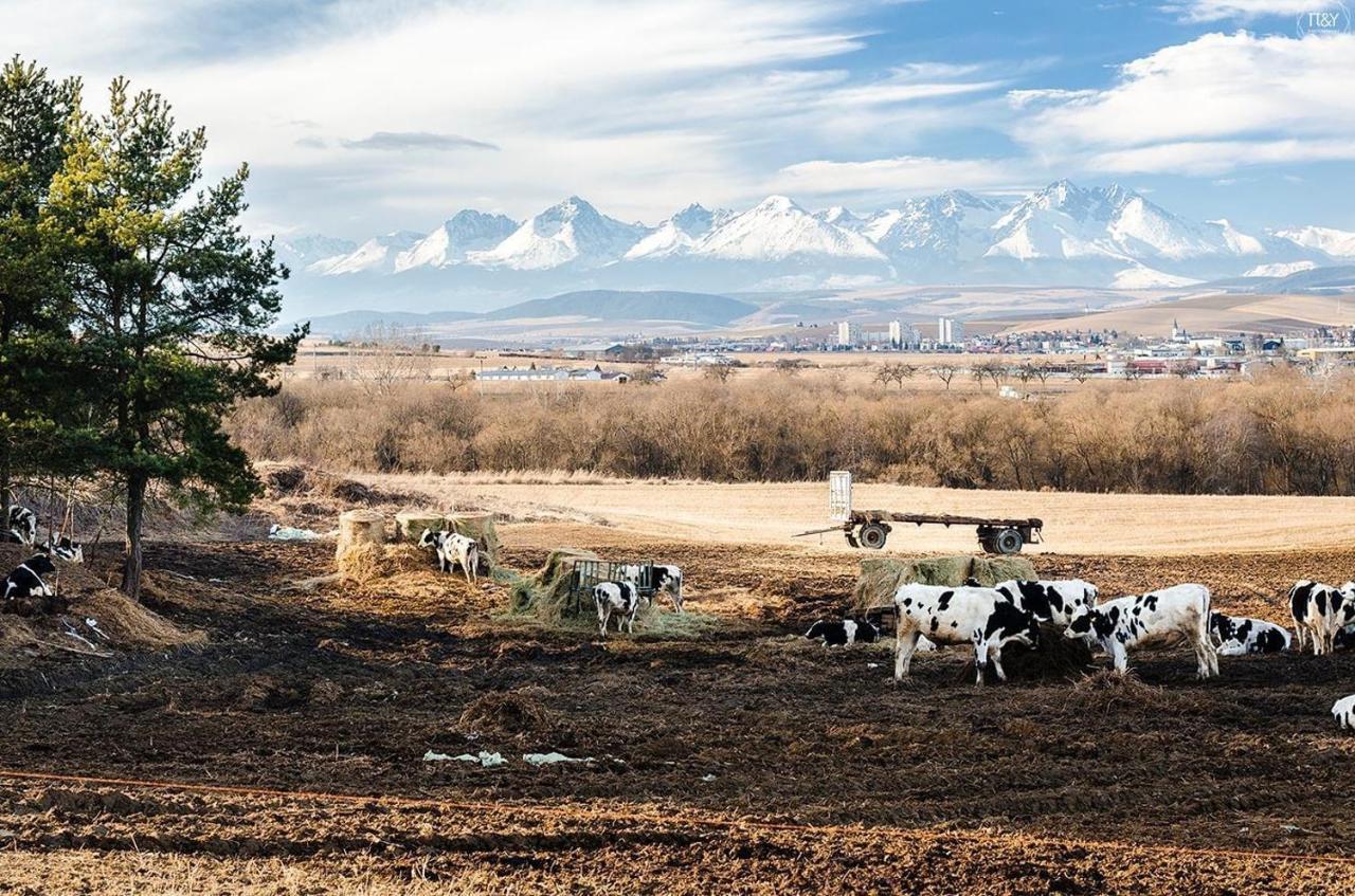 Apartmán Ala Spišská Nová Ves Exterior foto